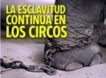 /album/perros/a24574-418637300179-317317125179-5708489-2021308-n-jpg/