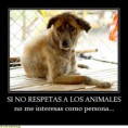 /album/perros/a385191-10151414537122008-1788009231-n-jpg/