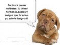 /album/perros/a550439-10151425652767008-276221205-n-jpg/