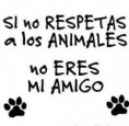 /album/perros/a578548-10151424410627008-600082186-n-jpg/