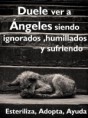 /album/perros/a601668-10152768812205224-858424648-n-jpg/