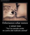 /album/perros/a734378-10151423772252008-319489195-n-jpg/
